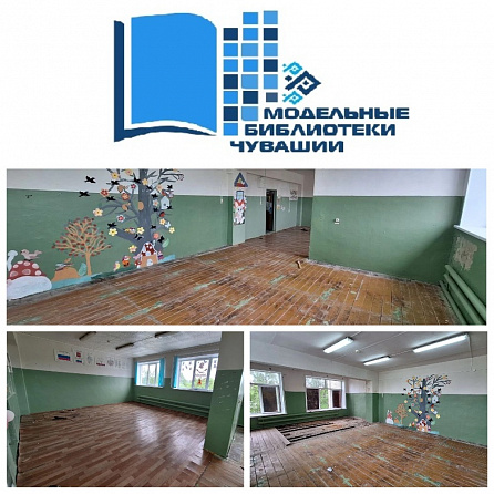 НАВСТРЕЧУ НОВОМУ: как меняется Абызовская сельская библиотека